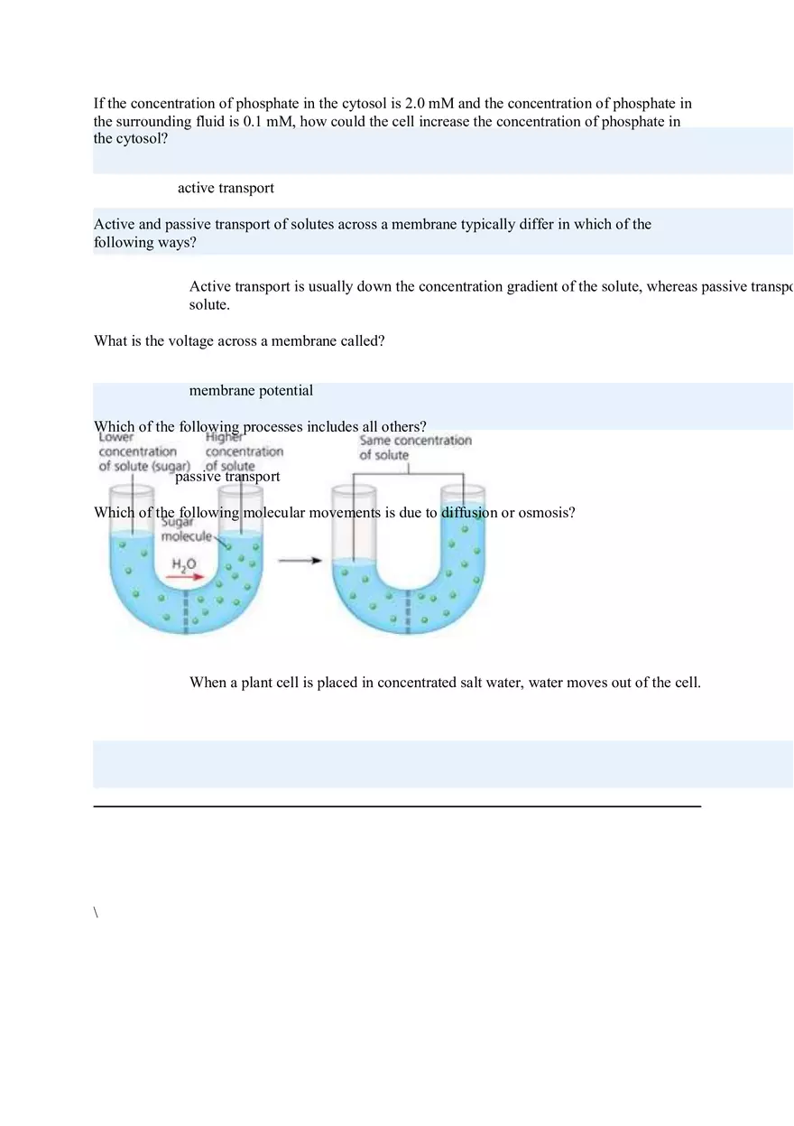 Water Passes Quickly Through Cell Membranes Because - Page 4