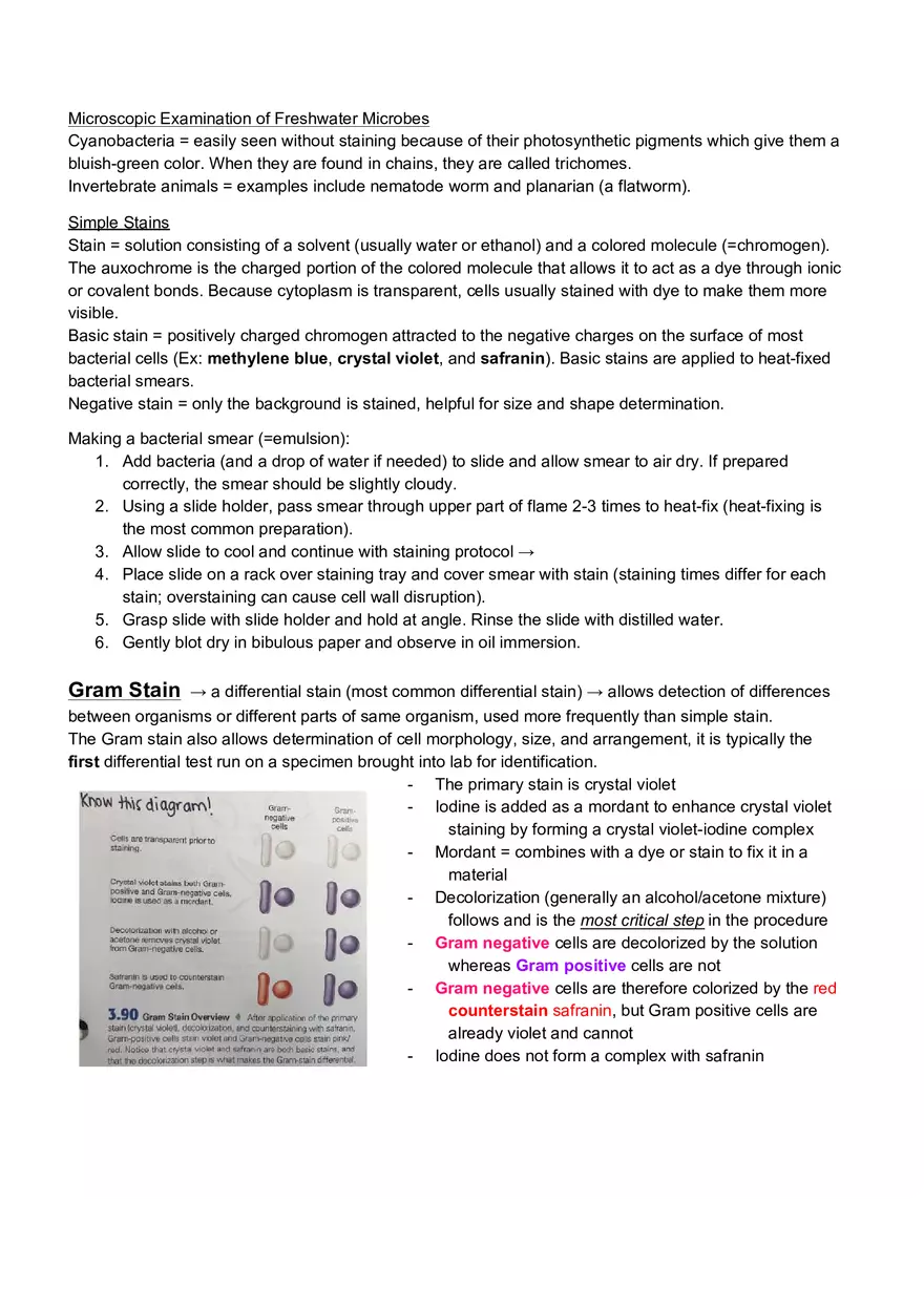 Microbiology Laboratory Exam - Page 8