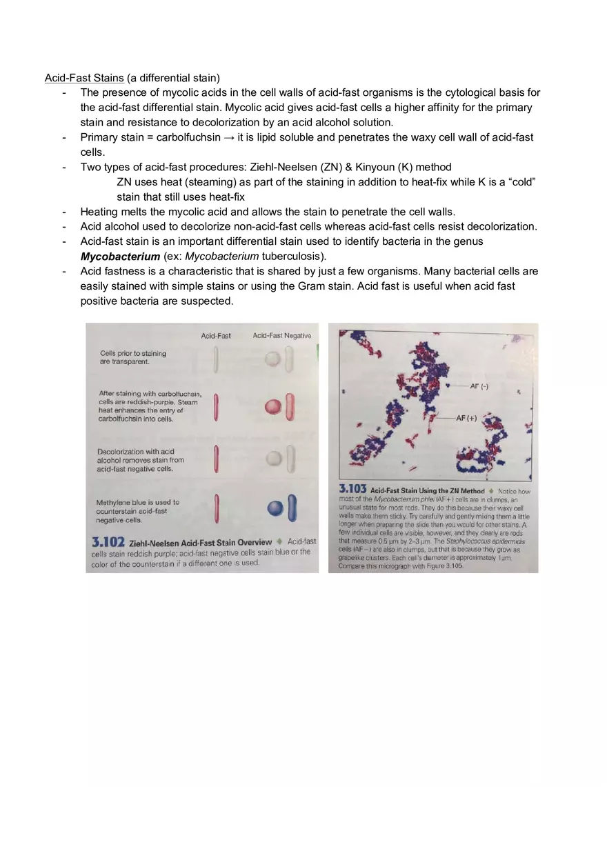 Microbiology Laboratory Exam - Page 10