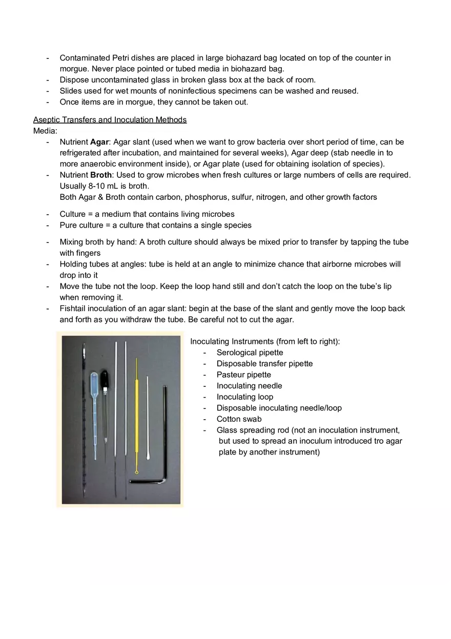 Microbiology Laboratory Exam - Page 2