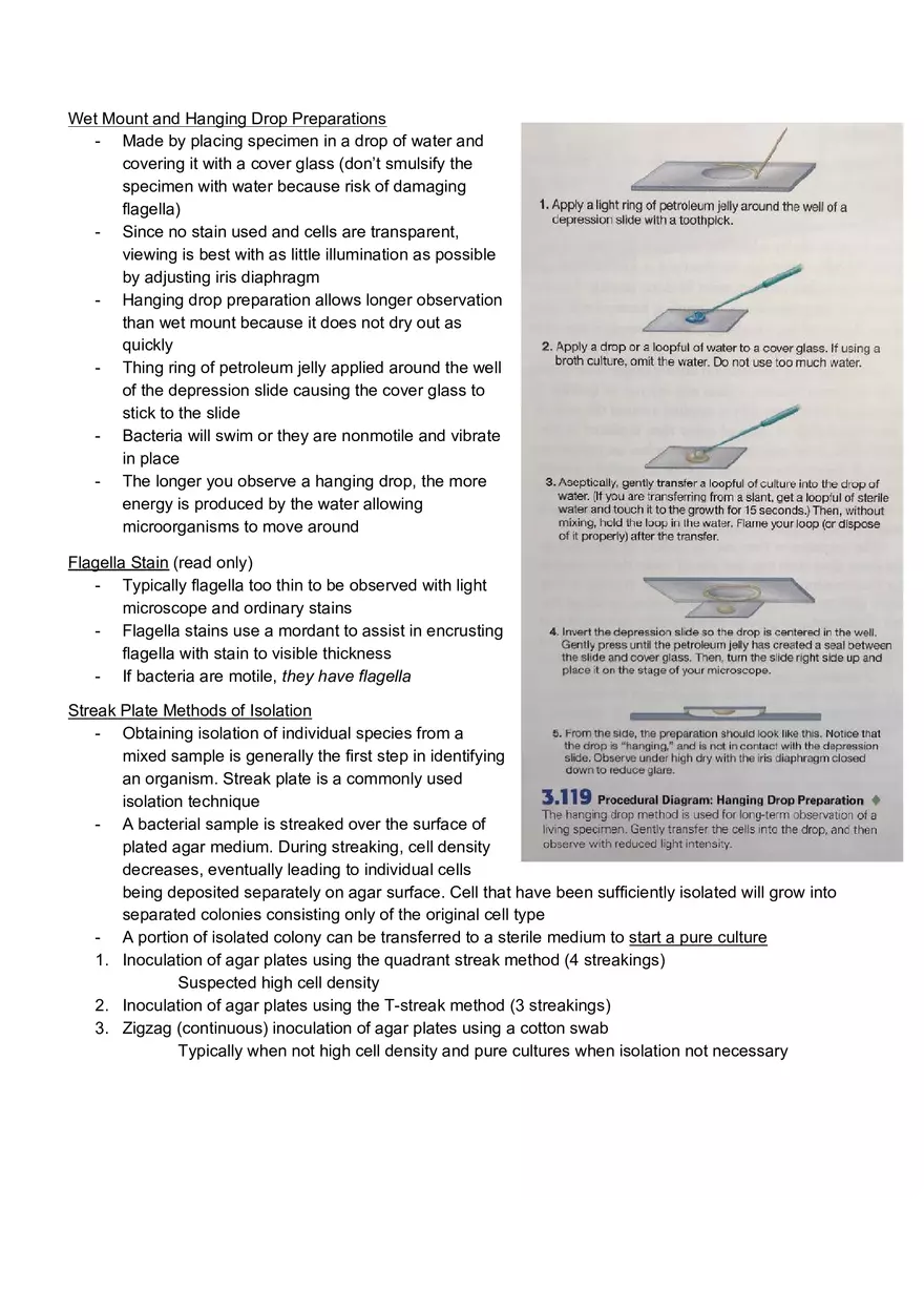 Microbiology Laboratory Exam - Page 3