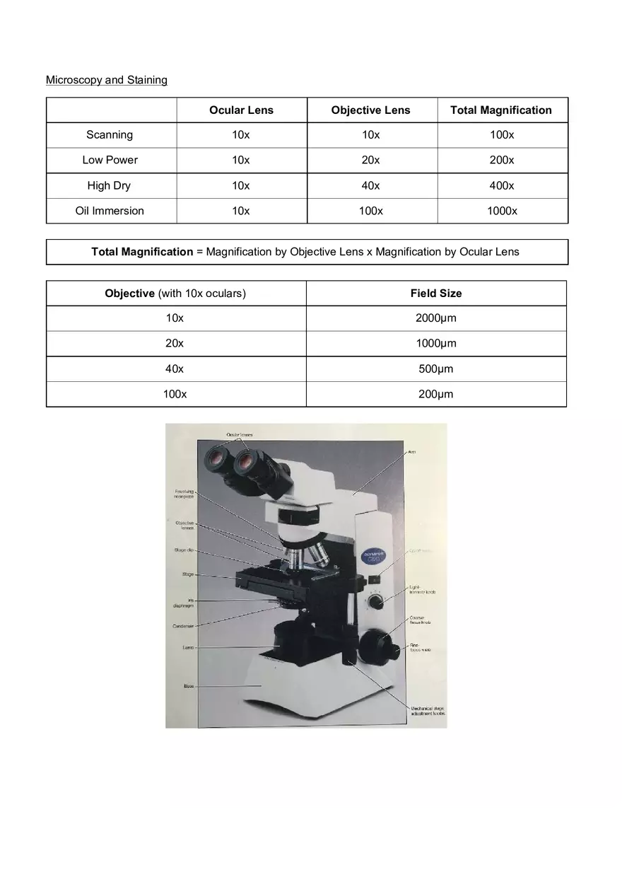 Microbiology Laboratory Exam - Page 6