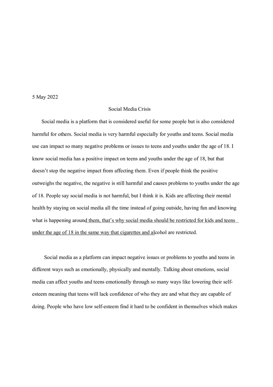 Social Media Crisis Essay - Page 1