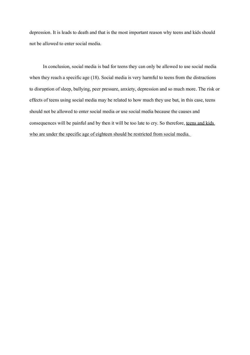 Social Media Crisis Essay - Page 5