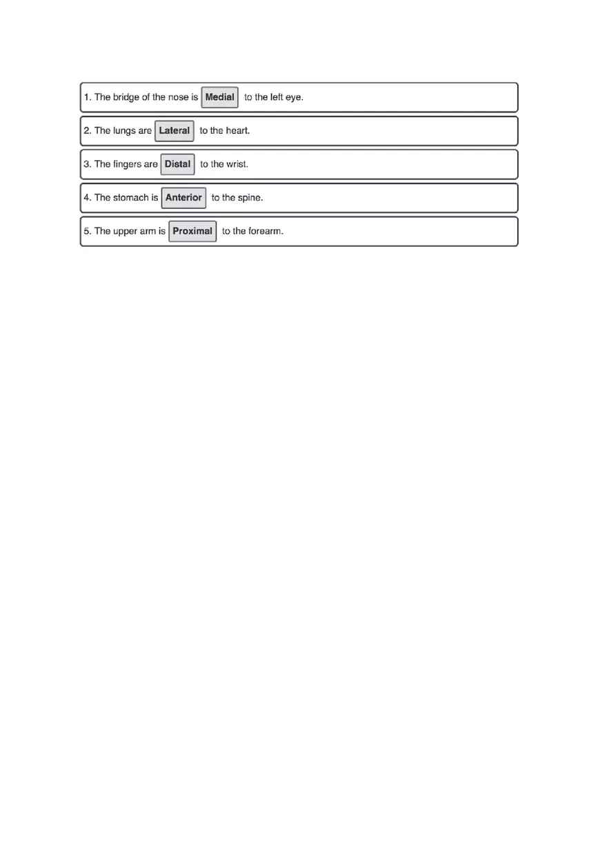 Cells and Tissues Mastering A&P Assignment Answers - Page 9