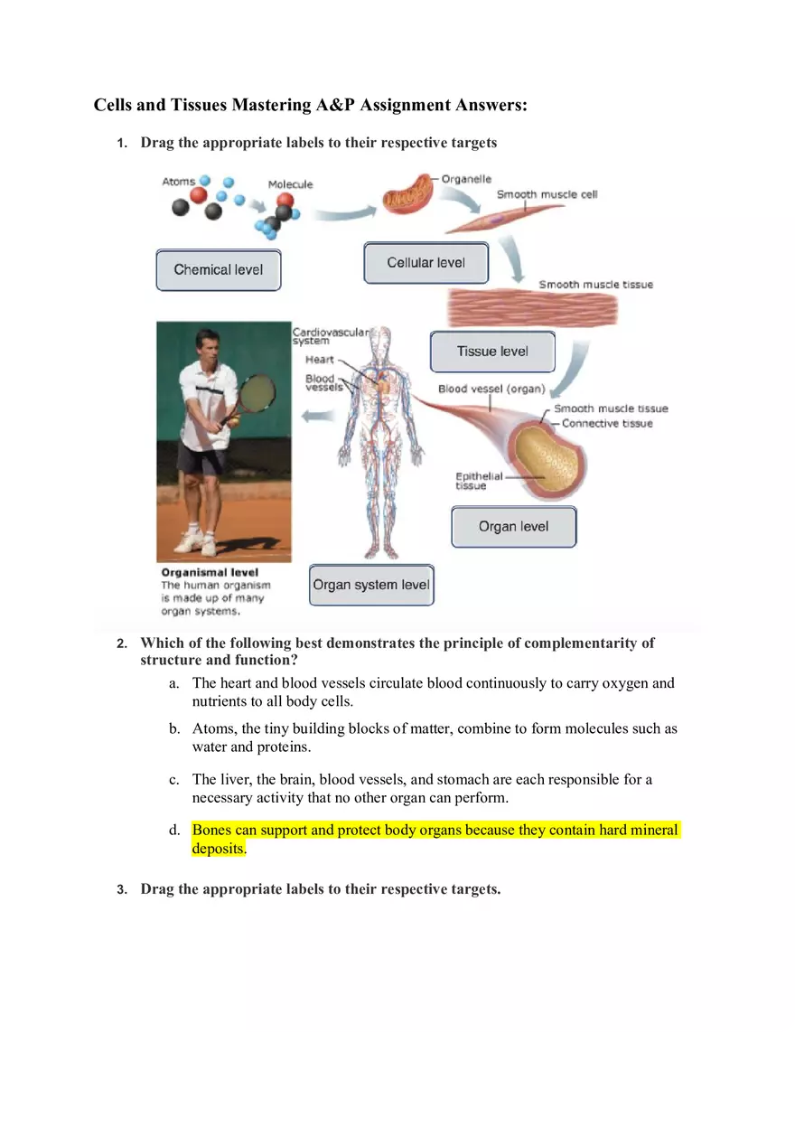 Cells and Tissues Mastering A&P Assignment Answers - Page 1