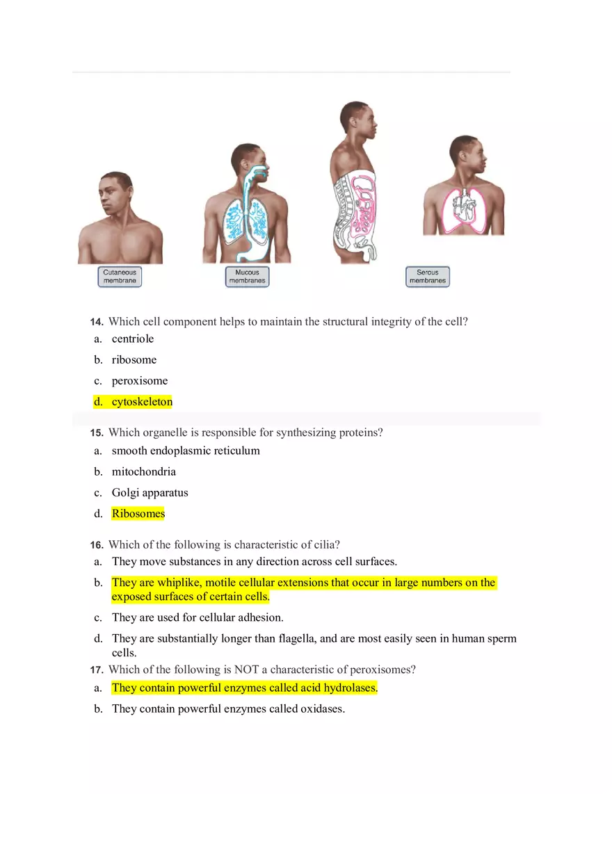 Cells and Tissues Mastering A&P Assignment Answers - Page 6