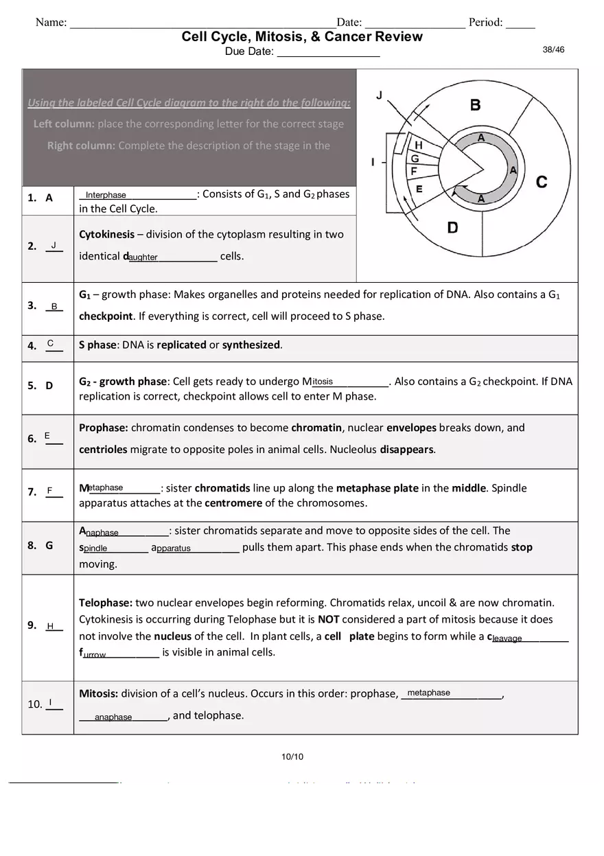 Cell Cycle, Mitosis and Cancer Review - Page 1