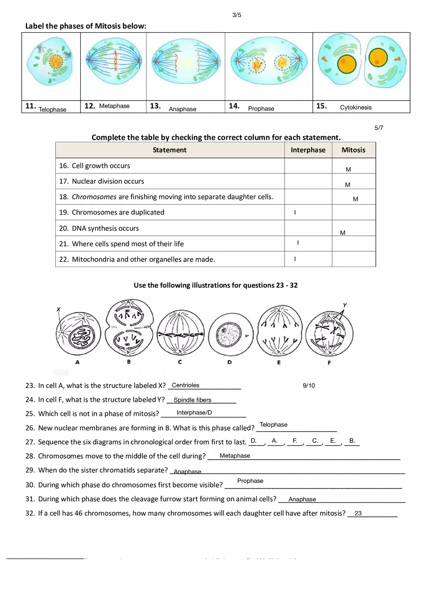 Cell Cycle, Mitosis and Cancer Review - Page 2