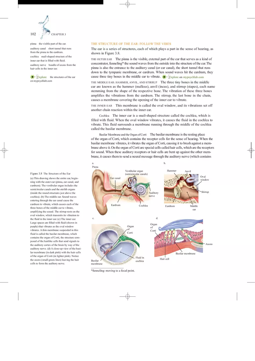 Sensation and Perception Lecture Note - Page 7