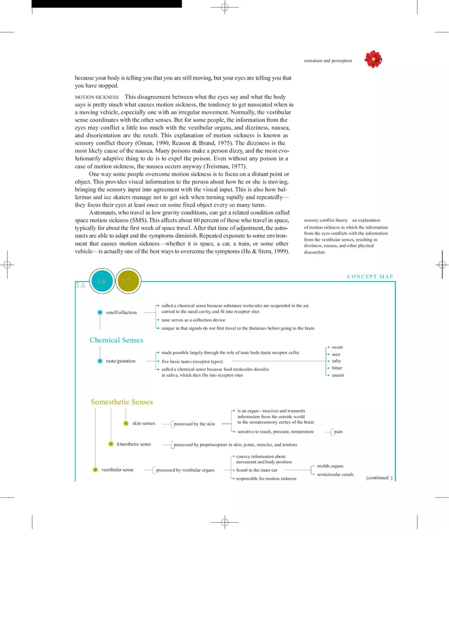 Sensation and Perception Lecture Note - Page 17