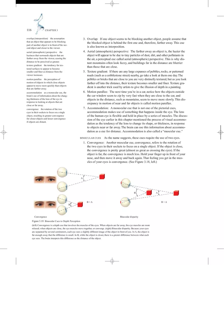 Sensation and Perception Lecture Note - Page 22