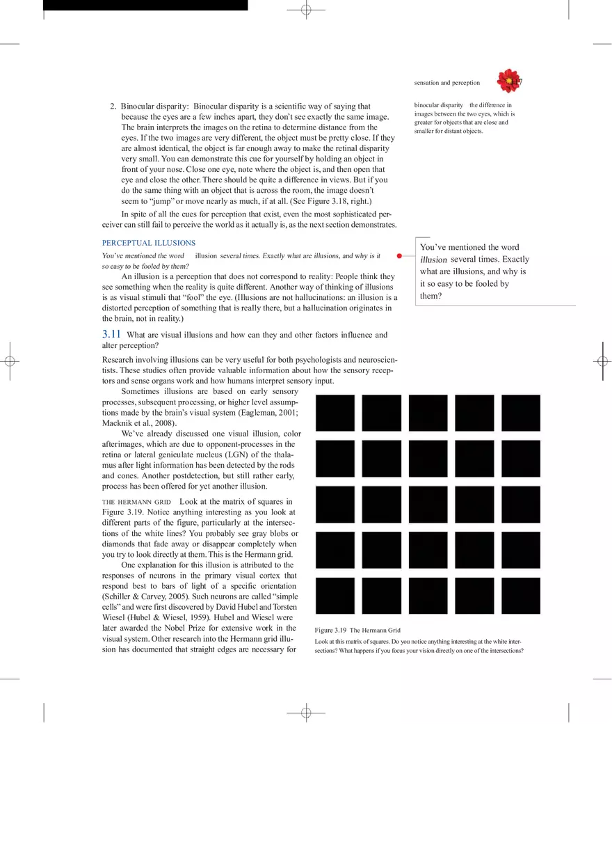 Sensation and Perception Lecture Note - Page 23