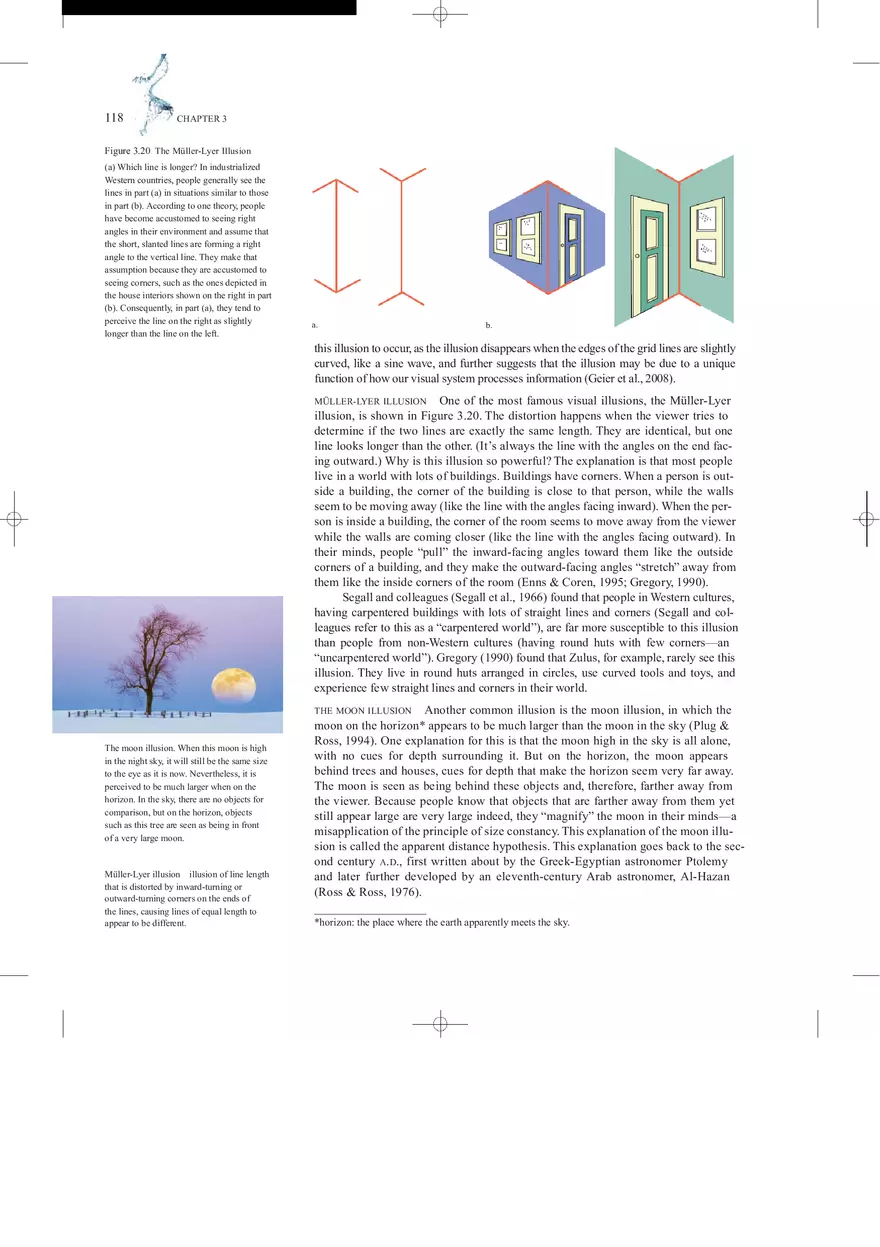 Sensation and Perception Lecture Note - Page 25