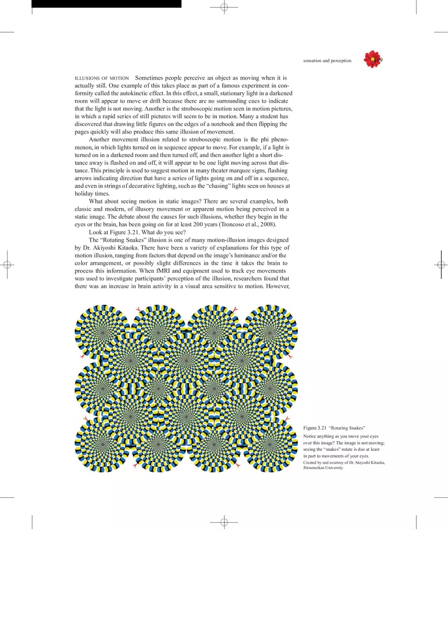 Sensation and Perception Lecture Note - Page 26