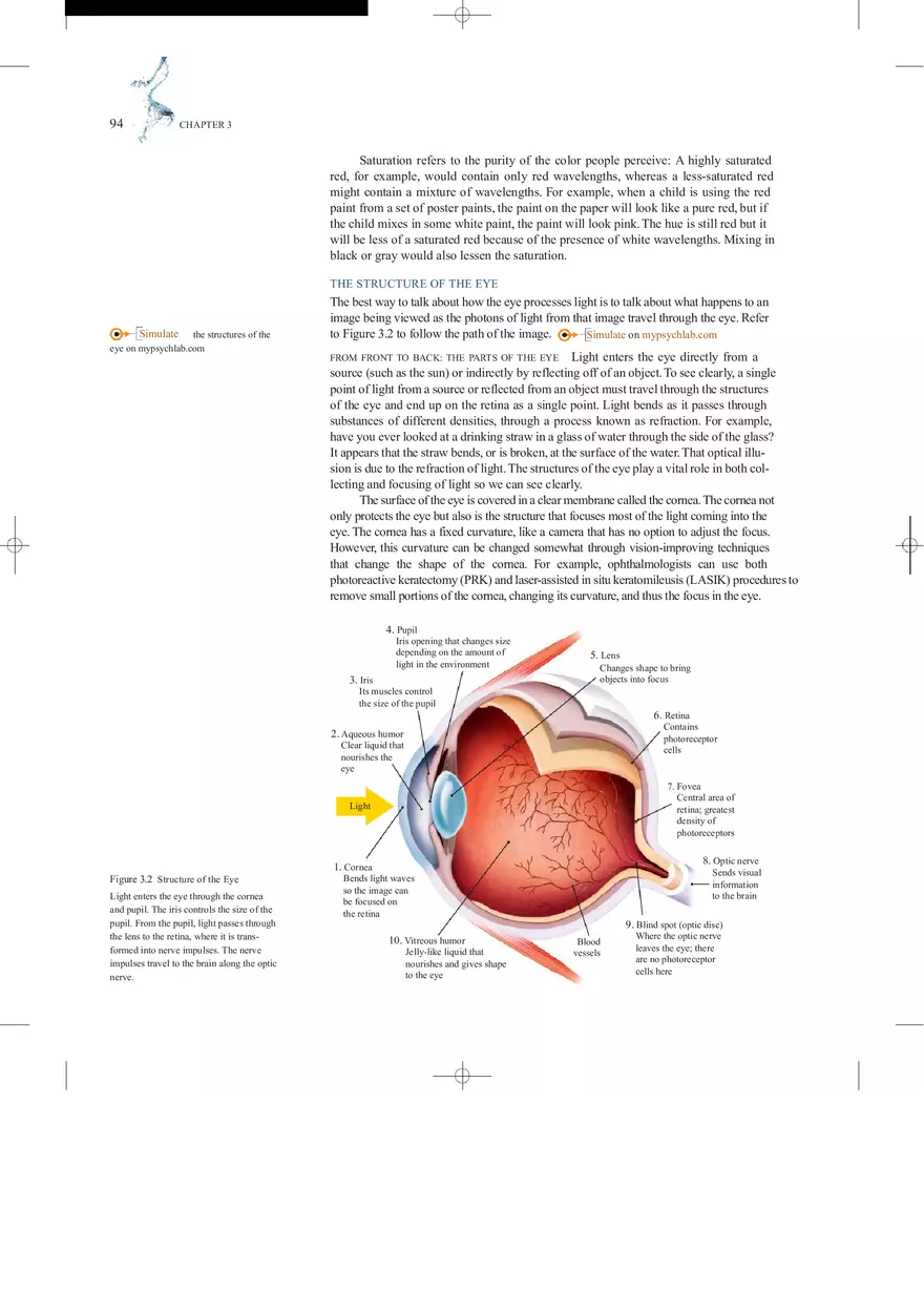 Sensation and Perception Lecture Note - Page 37
