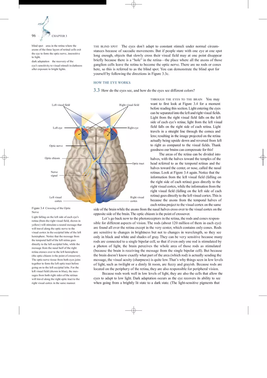 Sensation and Perception Lecture Note - Page 39