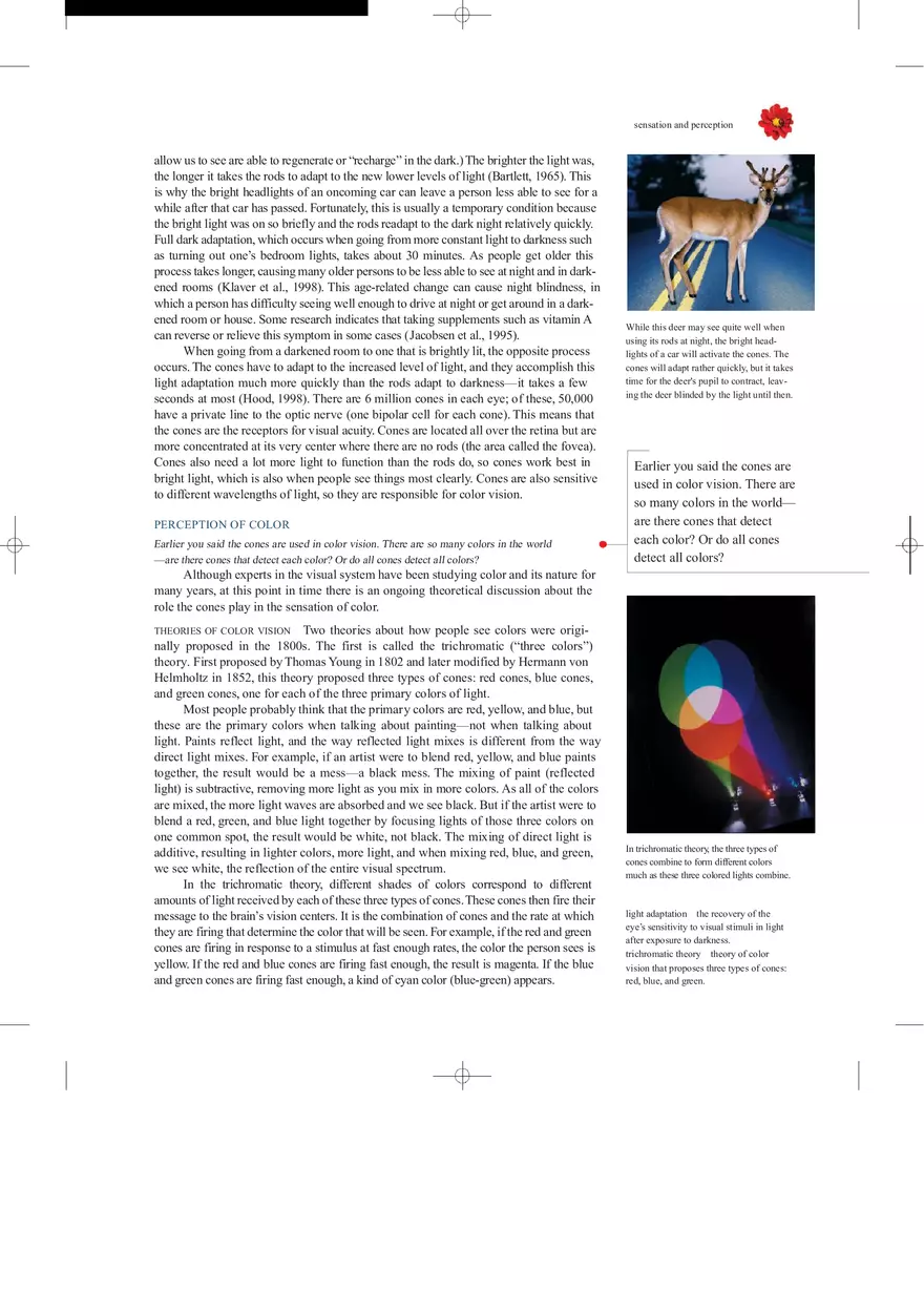 Sensation and Perception Lecture Note - Page 40