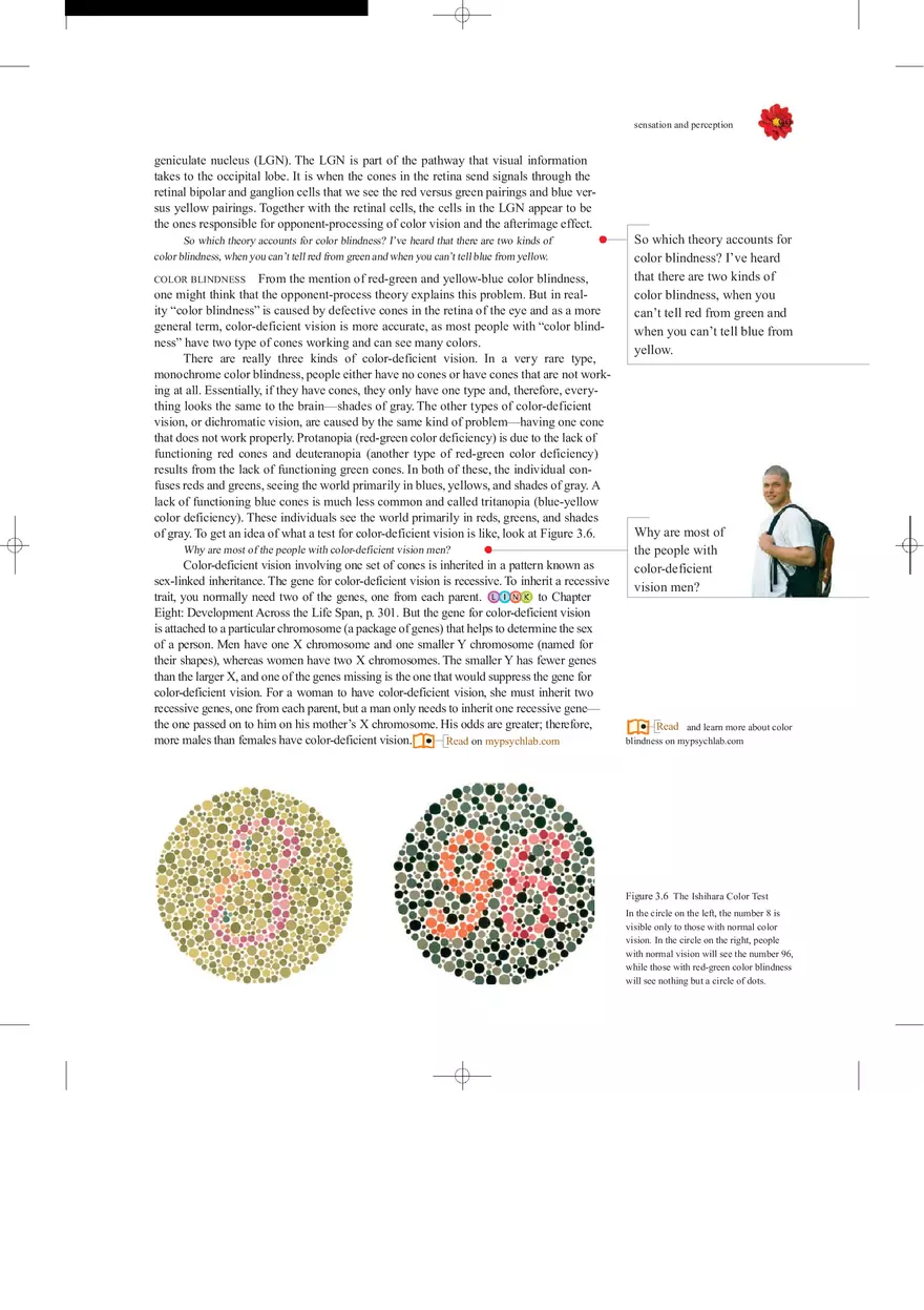 Sensation and Perception Lecture Note - Page 4