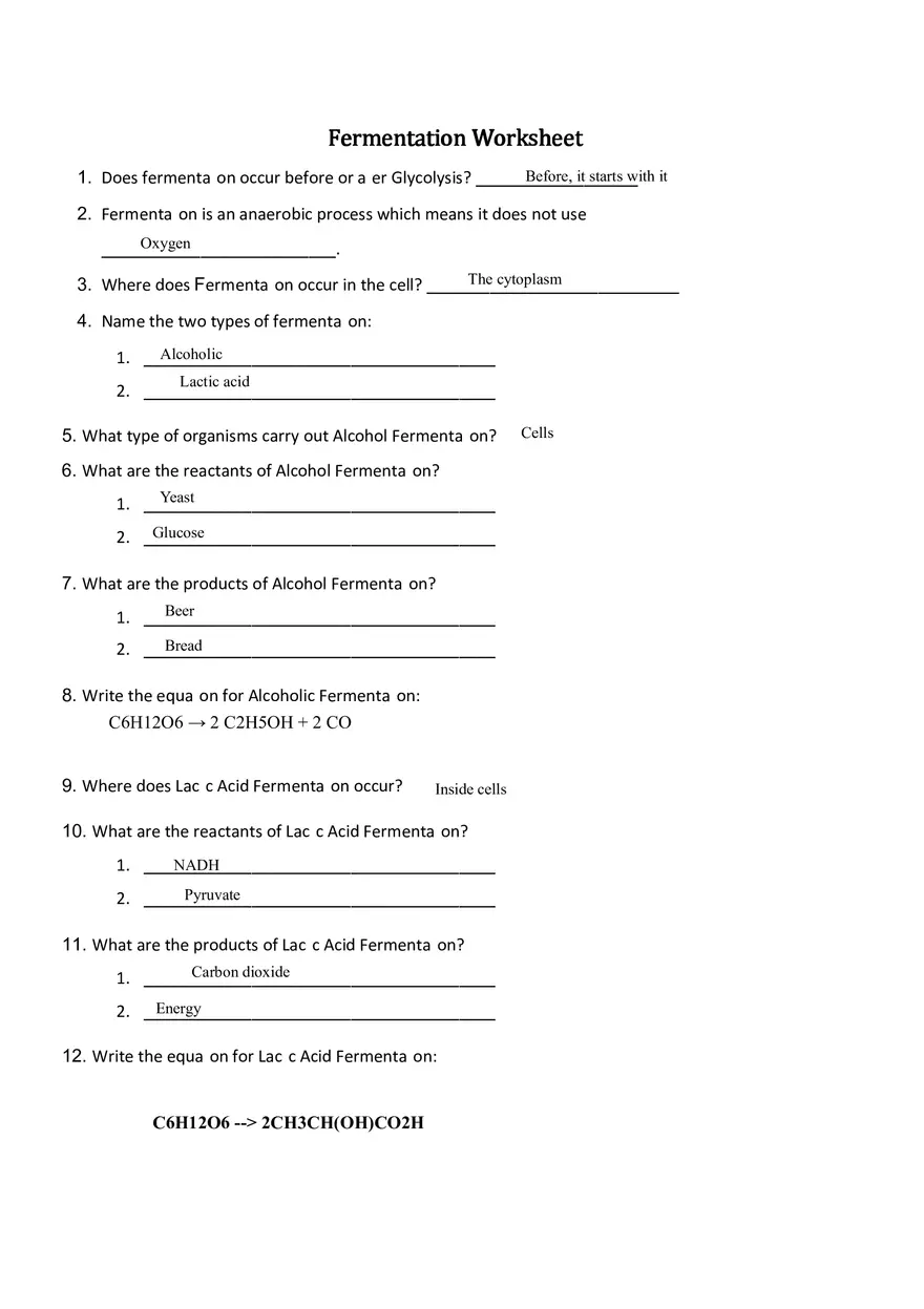 Fermentation Worksheet - Page 1