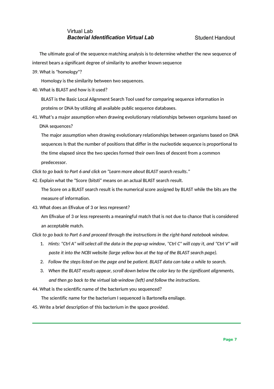 Bacterial Identification Virtual Lab - Page 7