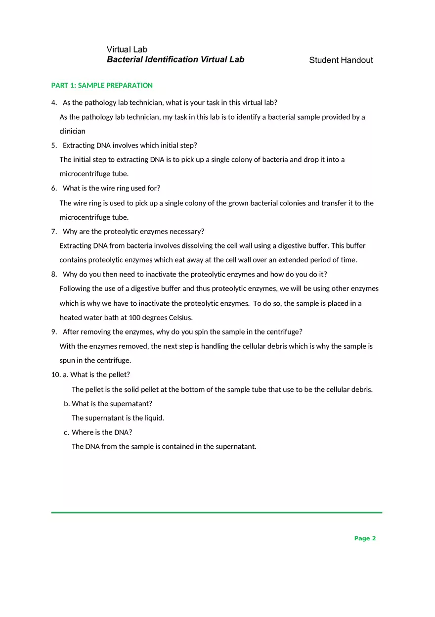 Bacterial Identification Virtual Lab - Page 2