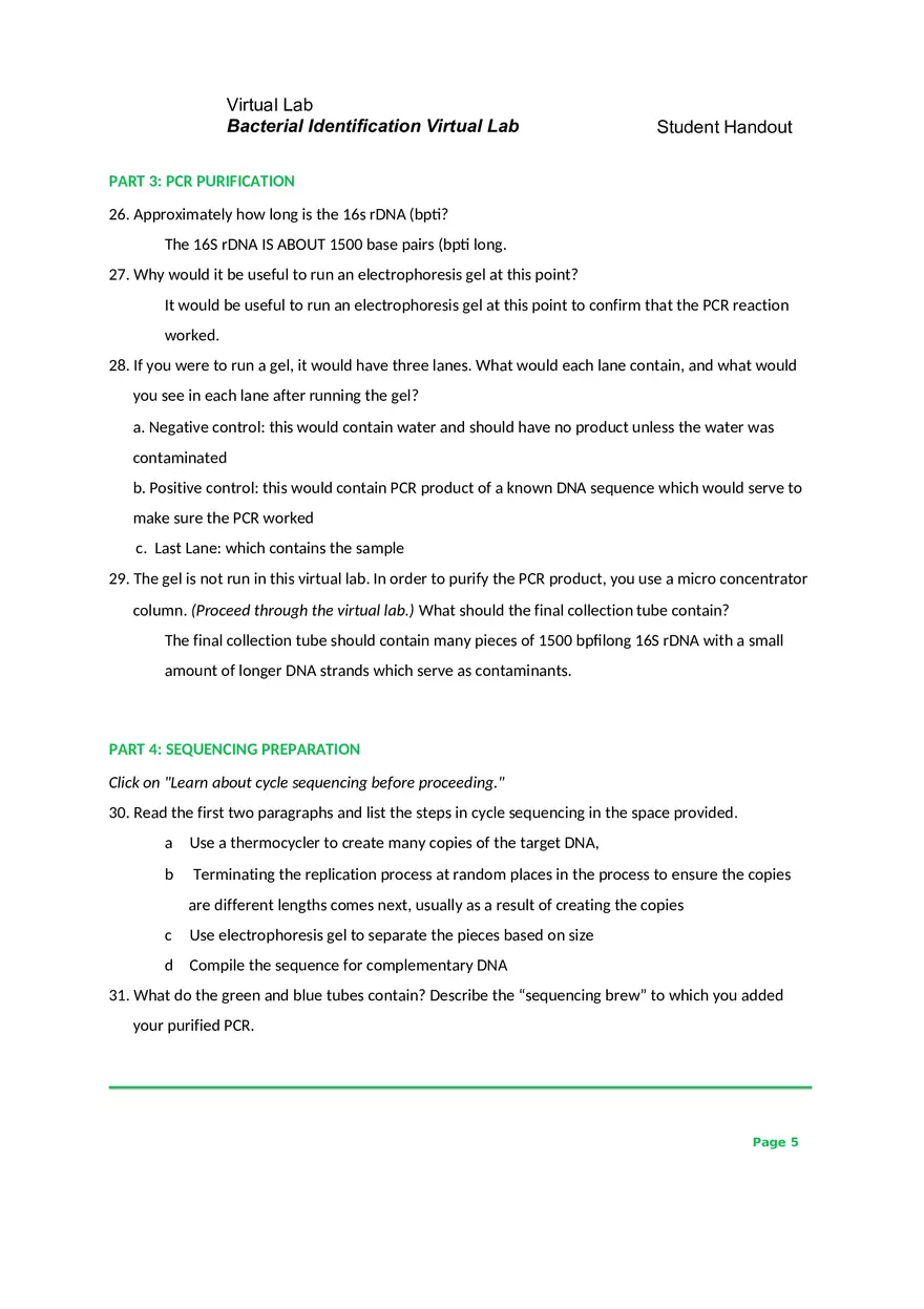 Bacterial Identification Virtual Lab - Page 5