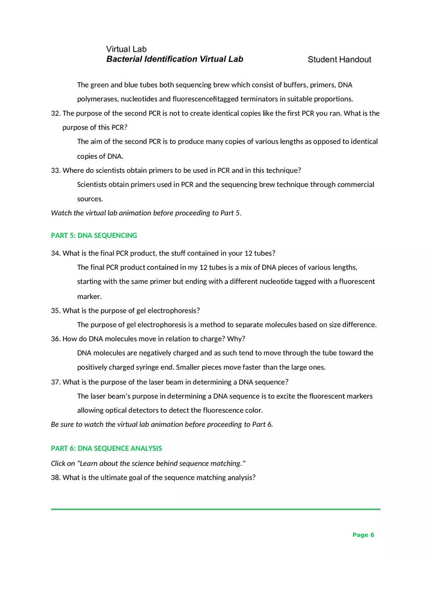 Bacterial Identification Virtual Lab - Page 6
