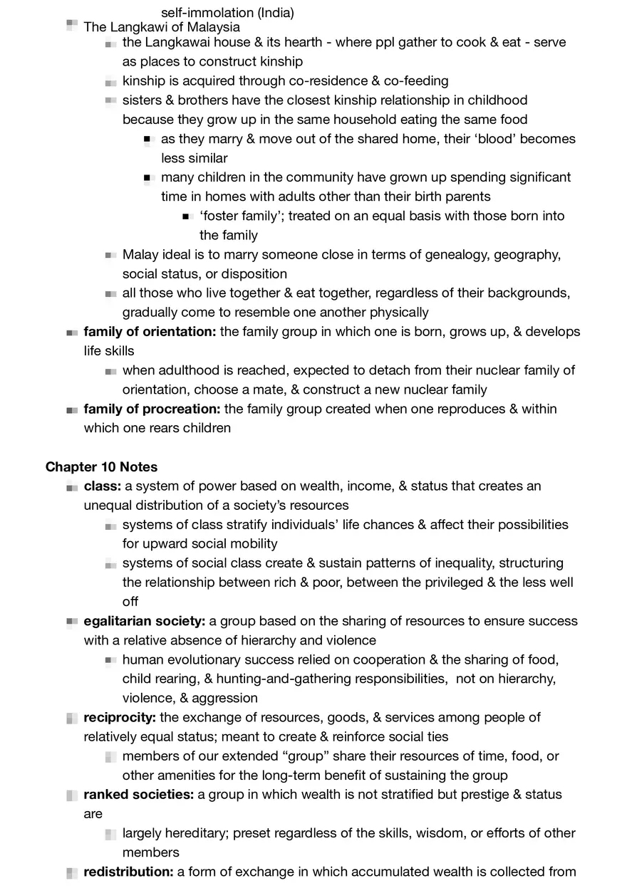 Anthropology Summary - Page 32