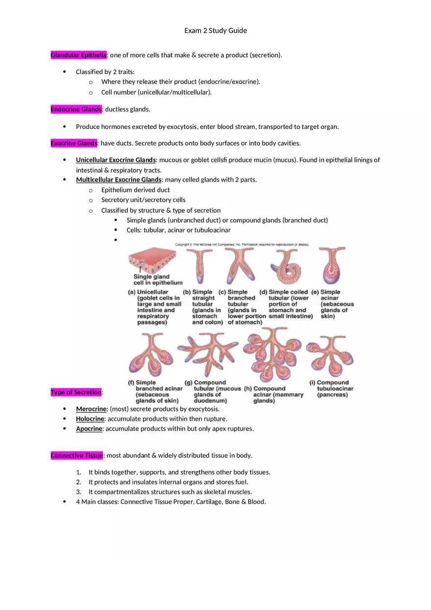 Exam 2 Study Guide Chapter 4 Tissues - Page 4