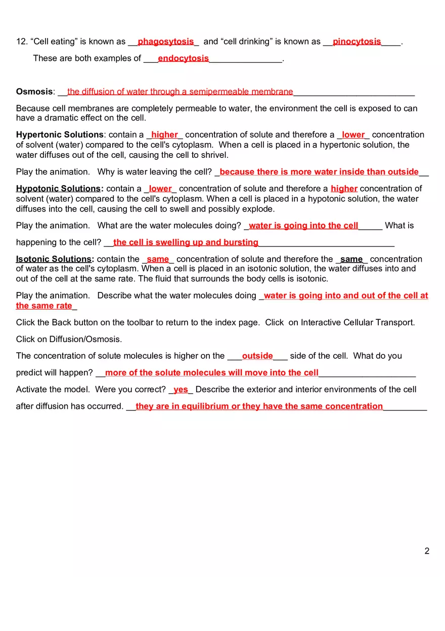 Cell Transport WebQuest Answers - Page 2