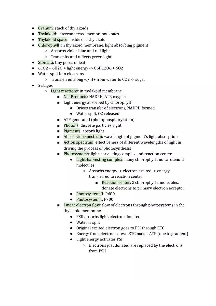 Unit 3 Cellular Energetics - Page 8