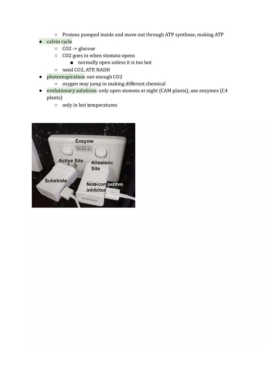 Unit 3 Cellular Energetics - Page 10
