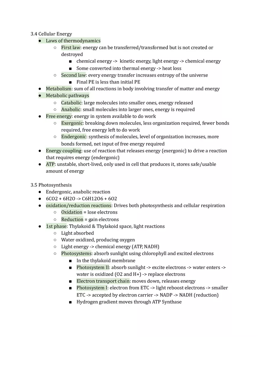 Unit 3 Cellular Energetics - Page 2