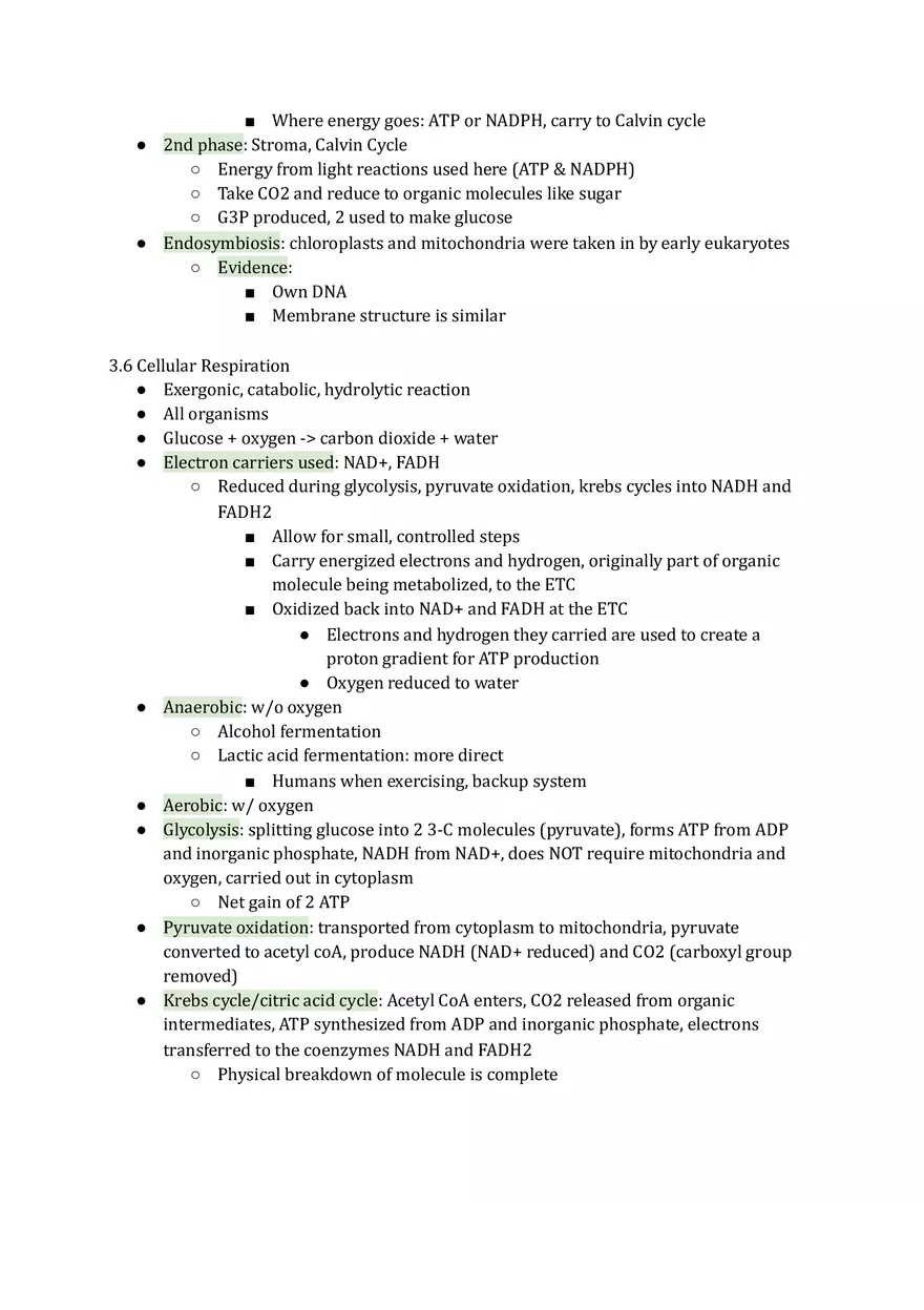 Unit 3 Cellular Energetics - Page 3
