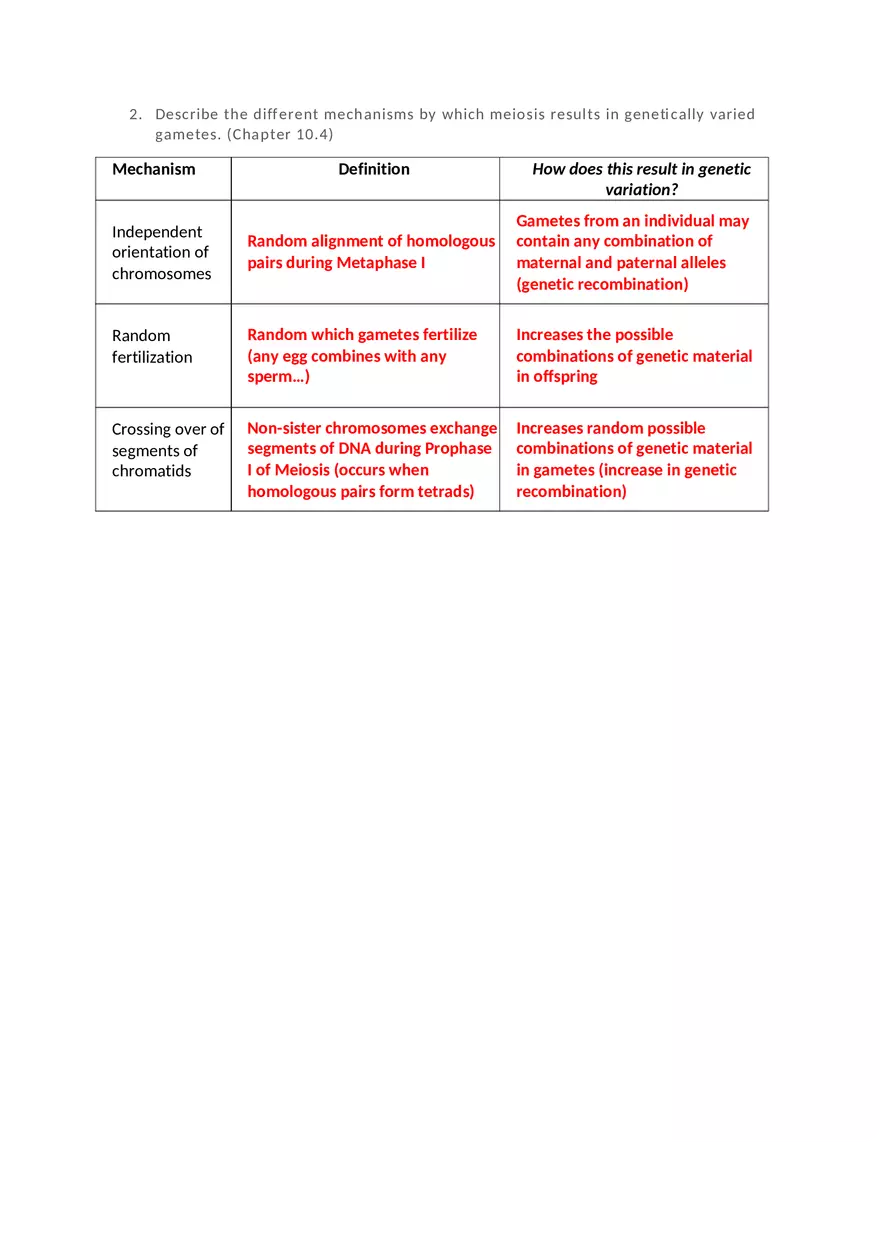 Genetics Review Worksheet Mitosis and Meiosis - Page 2