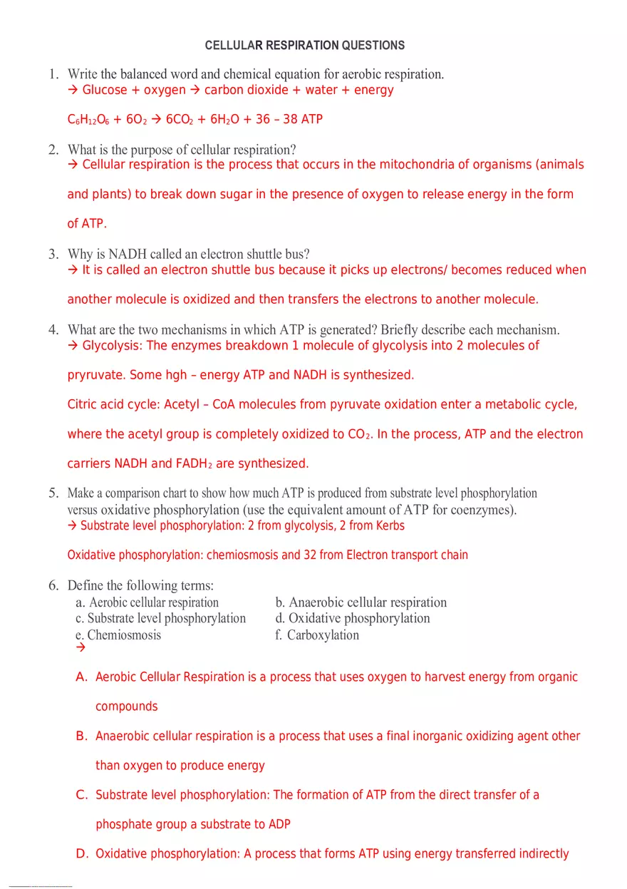 Cellular Respiration Questions - Page 1