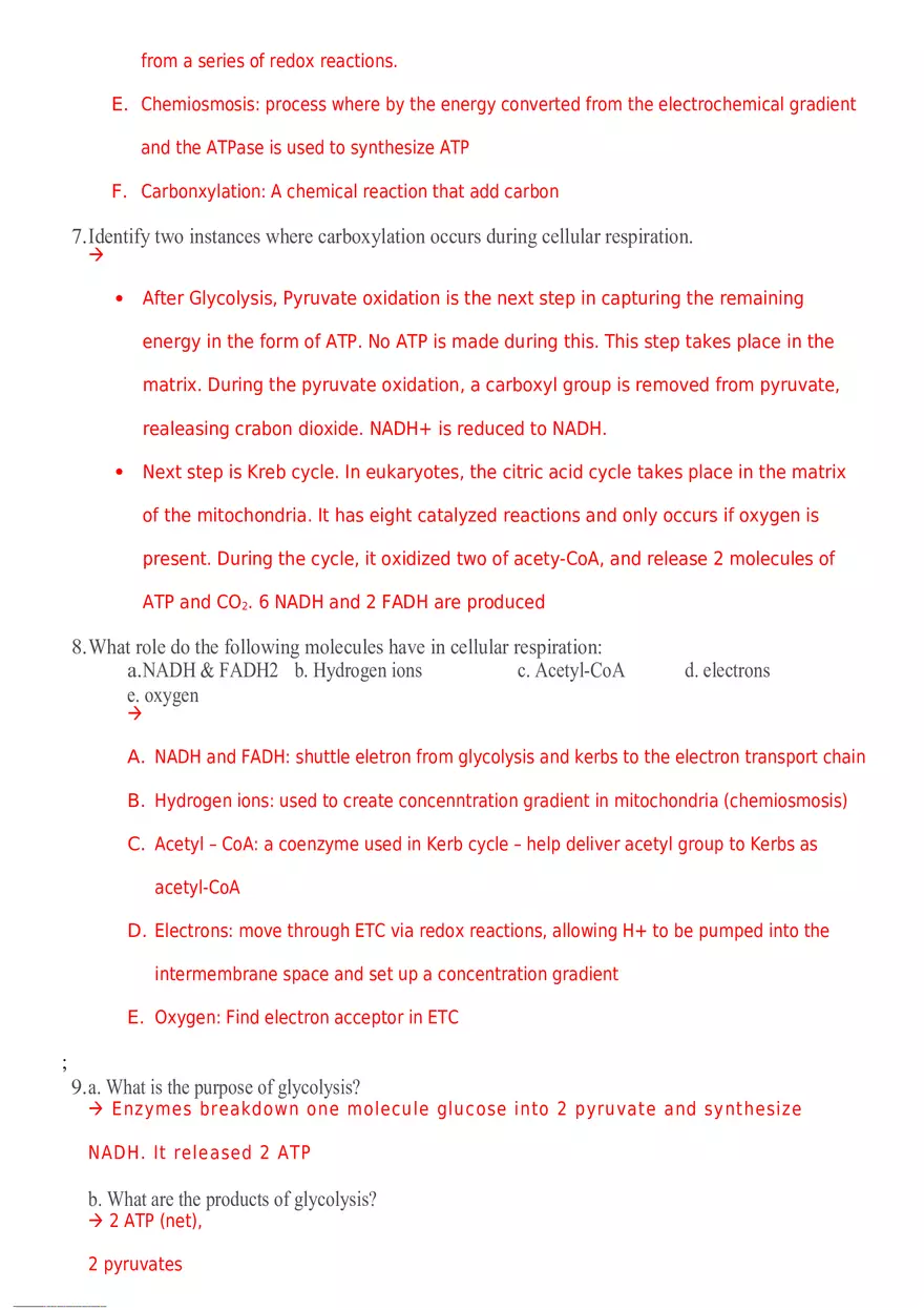 Cellular Respiration Questions - Page 2