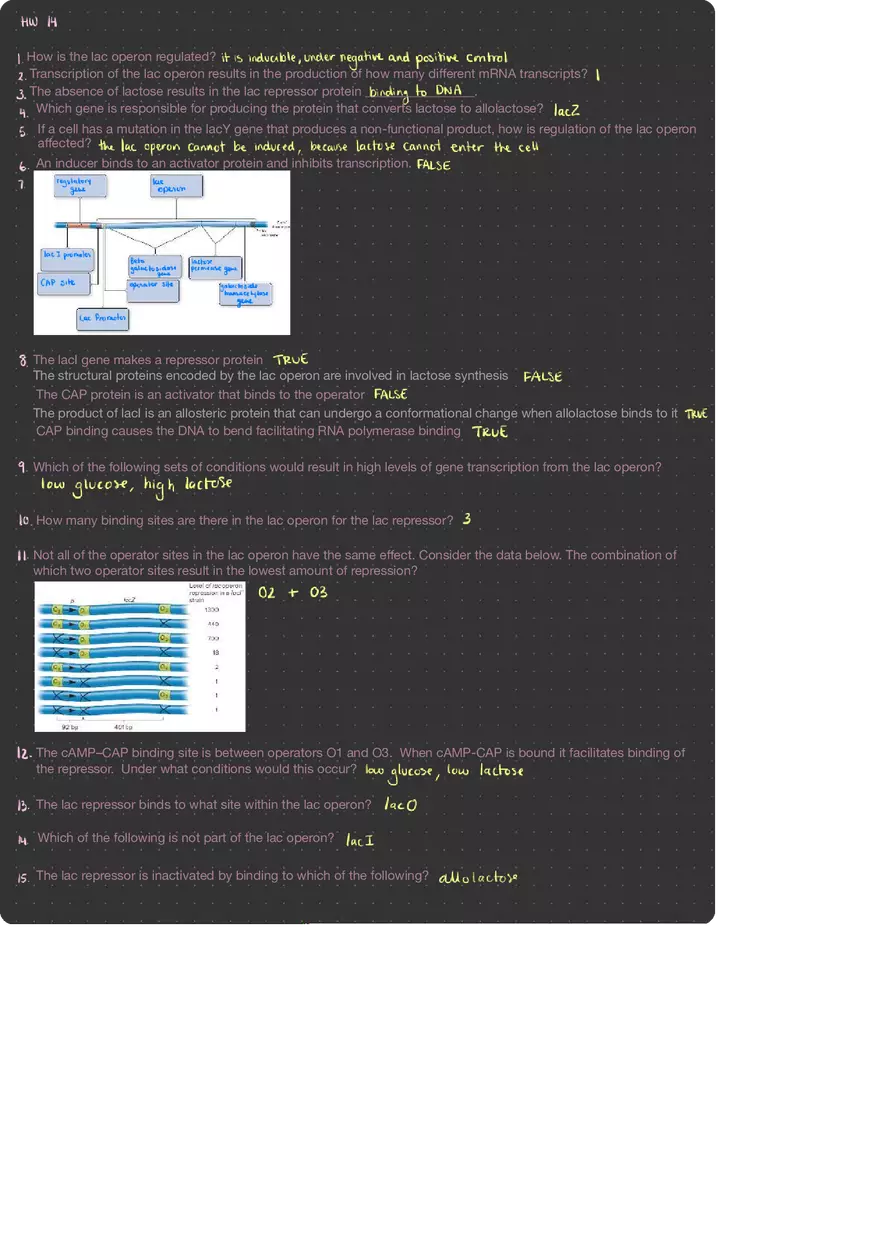 Molecular Genetics HW 14 - Page 1