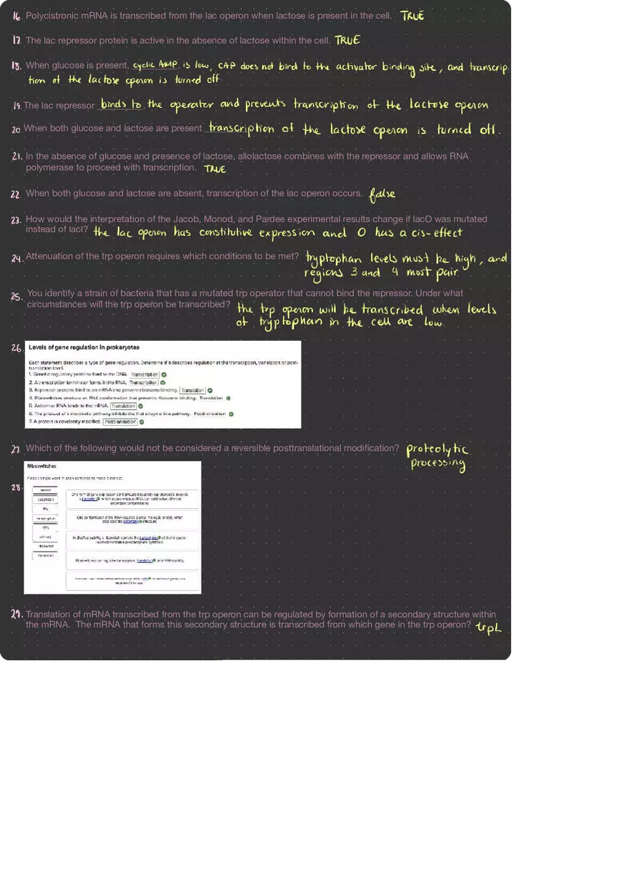 Molecular Genetics HW 14 - Page 2