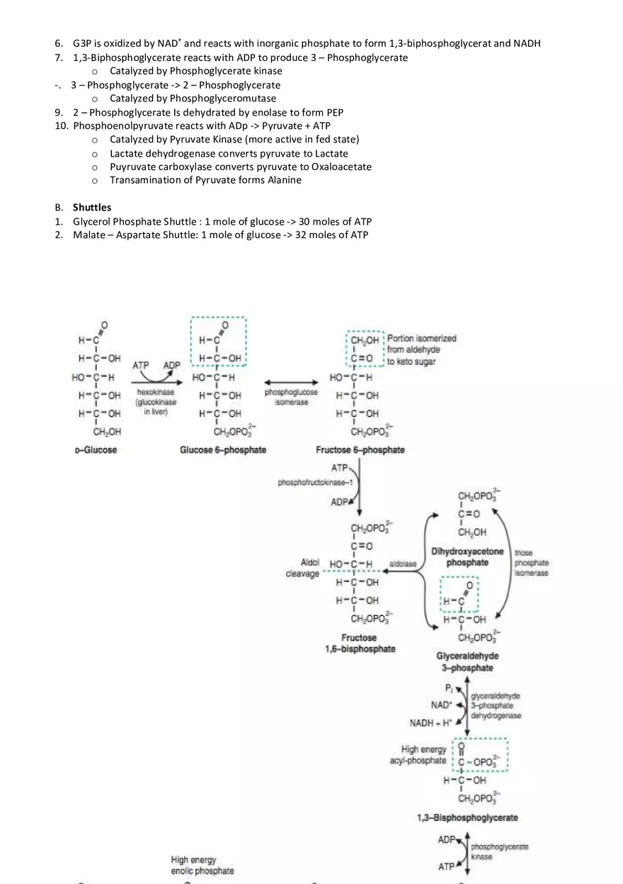 Biochemistry Cheat Sheet - Page 14