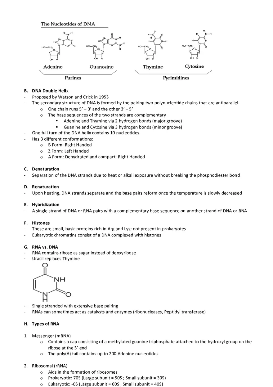 Biochemistry Cheat Sheet - Page 3