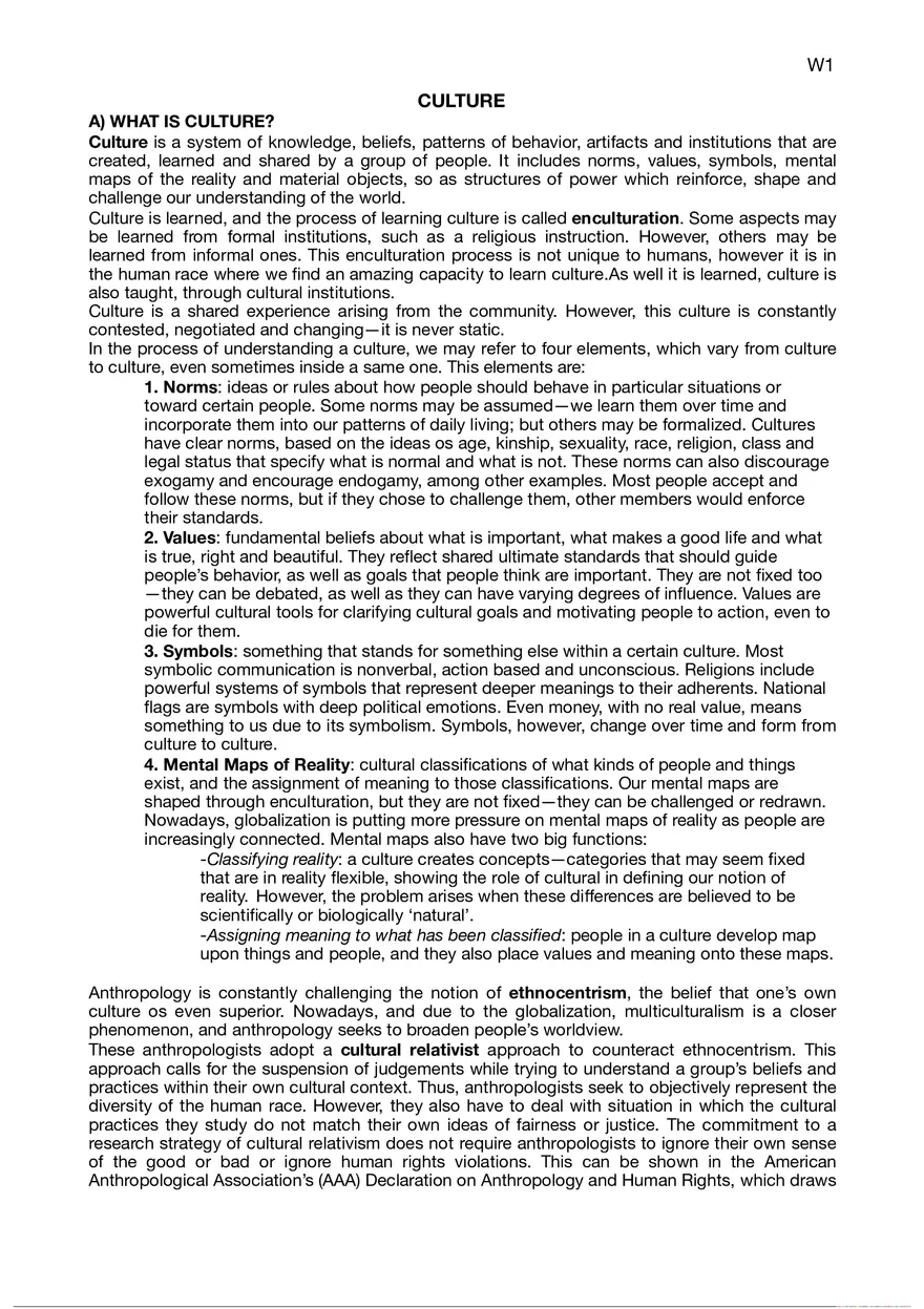 What is Culture - Page 1
