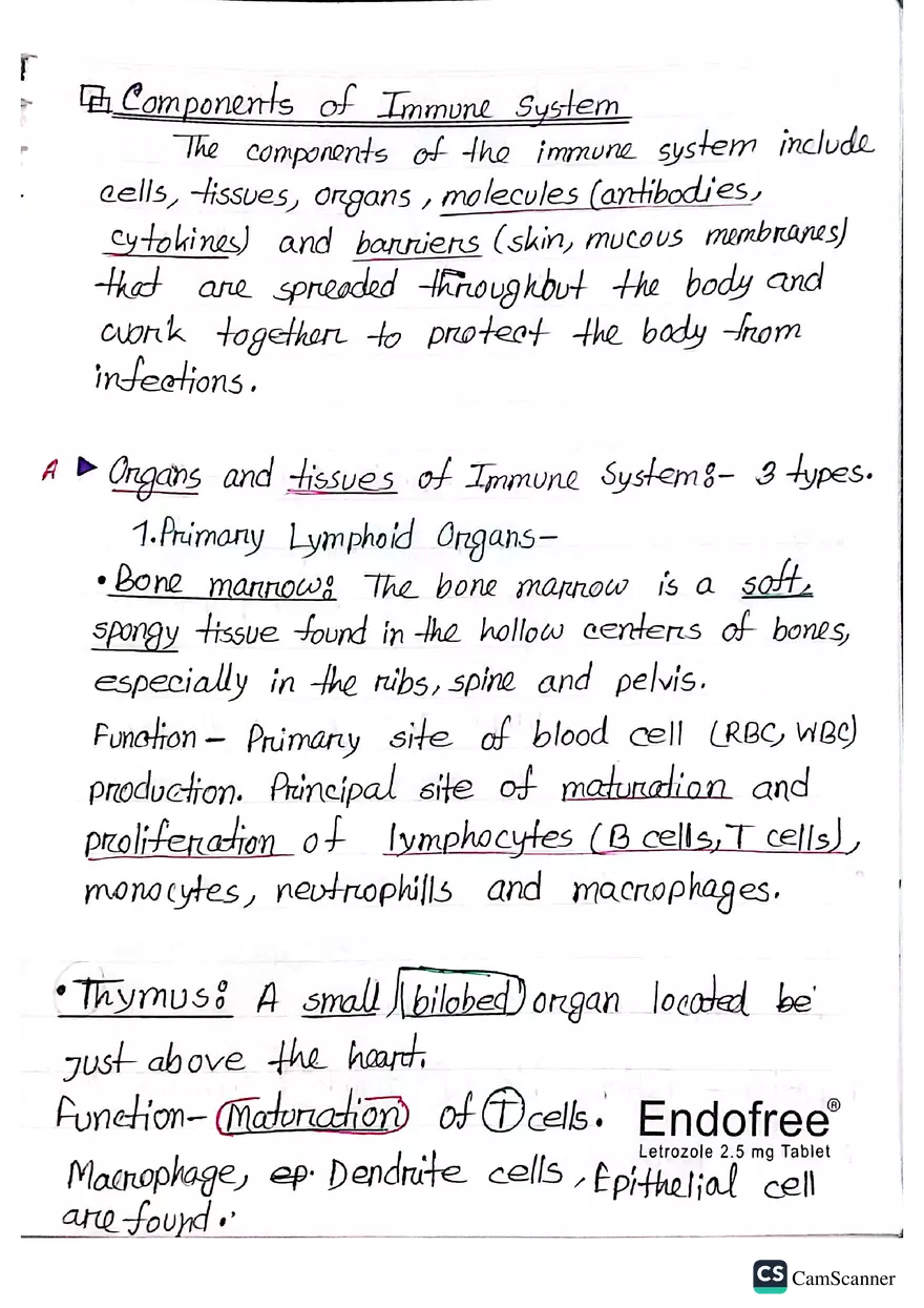 Imunnology Study Lecture Note - Page 25