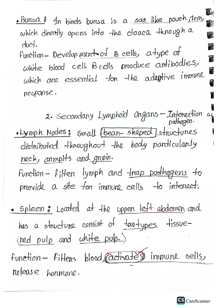 Imunnology Study Lecture Note - Page 26