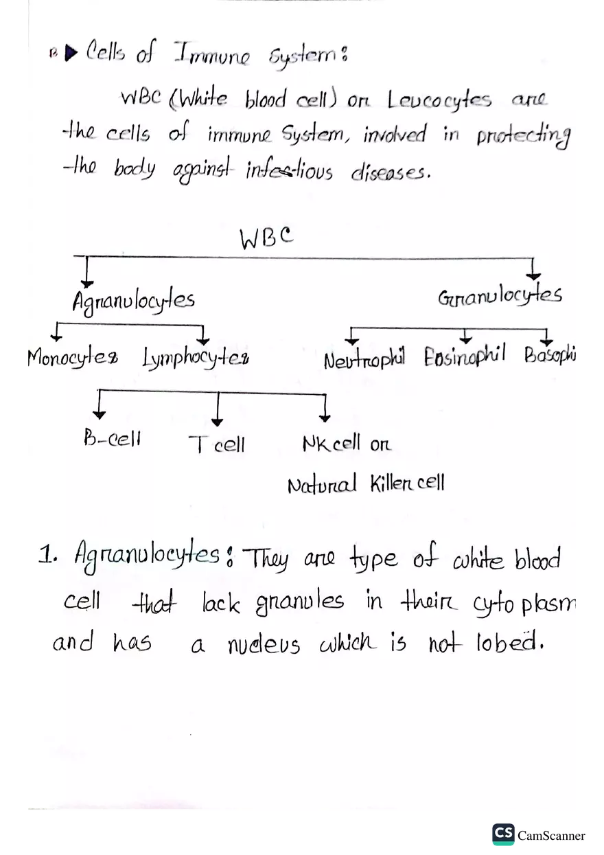 Imunnology Study Lecture Note - Page 28