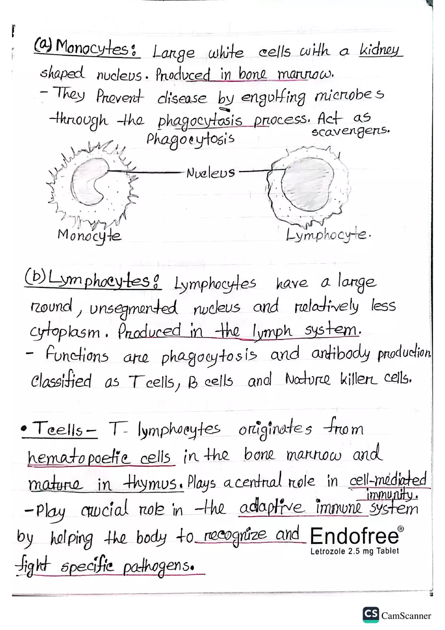 Imunnology Study Lecture Note - Page 29