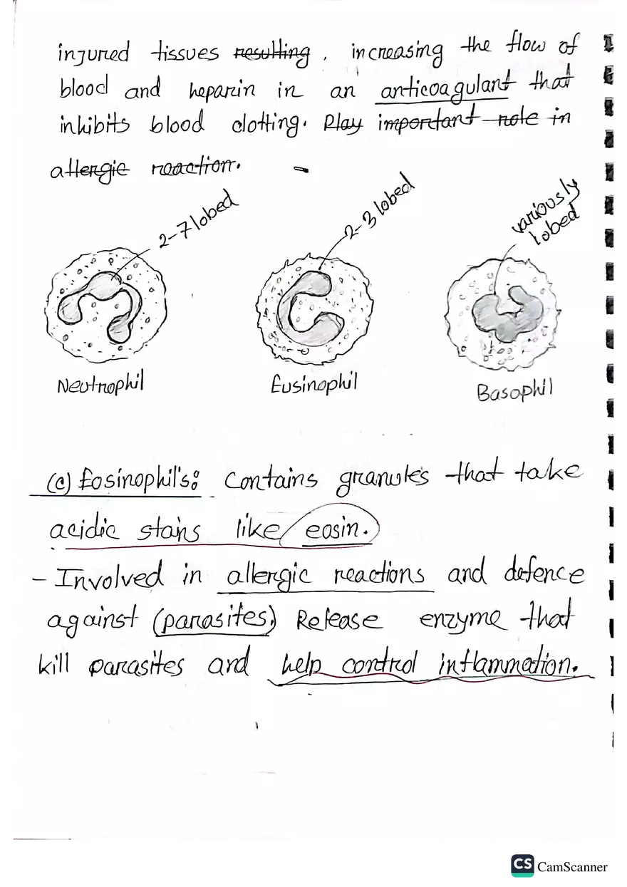 Imunnology Study Lecture Note - Page 4