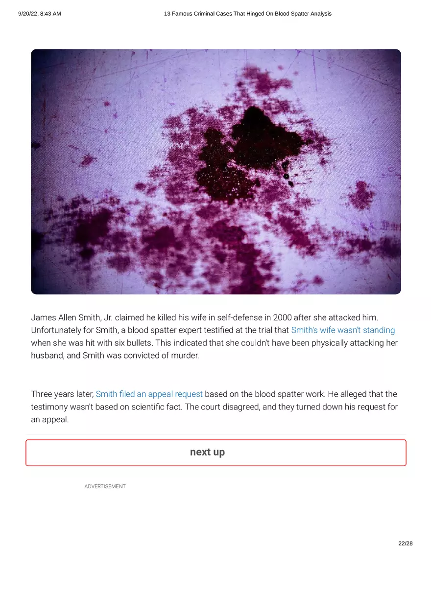 13 Famous Criminal Cases That Hinged On Blood Spatter Analysis - Page 15