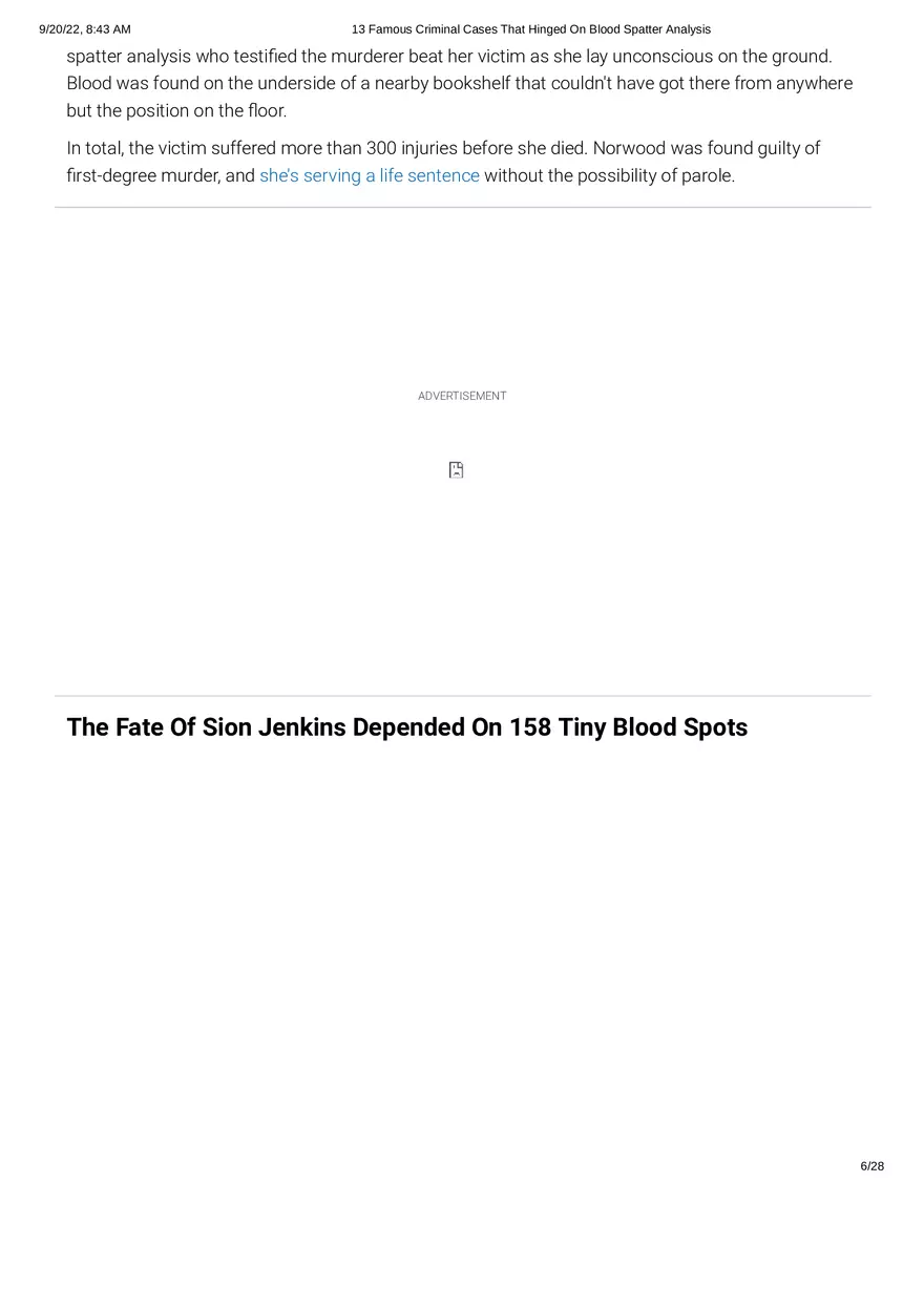 13 Famous Criminal Cases That Hinged On Blood Spatter Analysis - Page 18